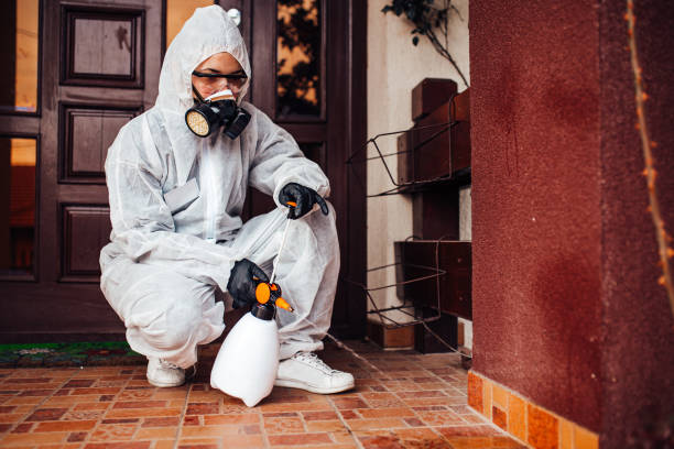 Reliable Ant Control contractor in Palm Coast, FL by Nex Pest Control