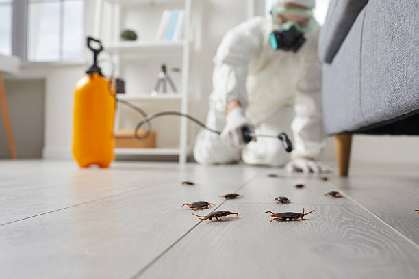 Trusted Fumigation Services service in Palm Coast, FL - Nex Pest Control